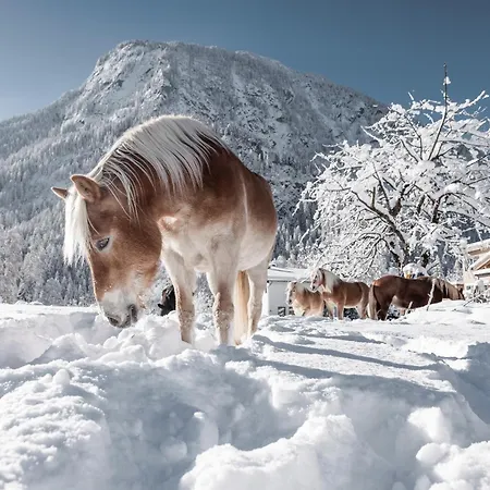 Myalps Mühlhof Apartment Oetz