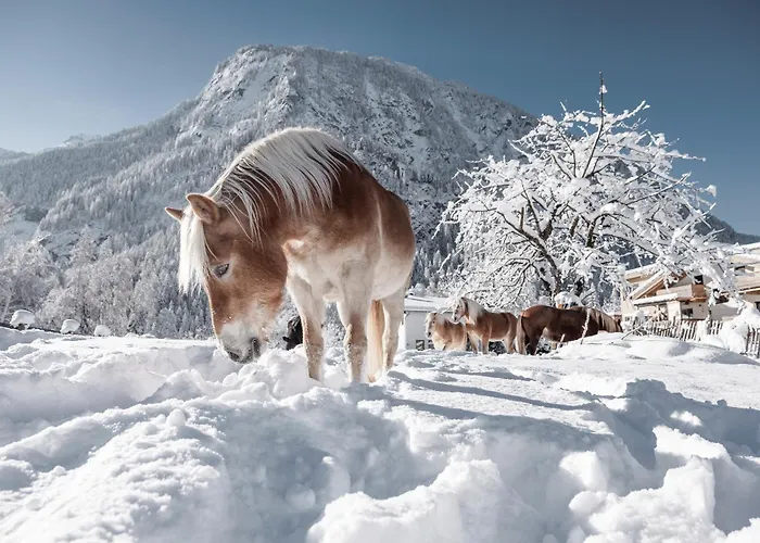 Myalps Muehlhof Inklusive Sauna Apartamento Oetz